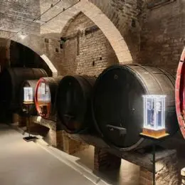 Barrels Cellar of Monte Oliveto Maggiore