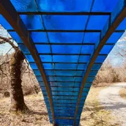 The blue bridge - Ursula Reuter Christiansen