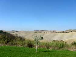 Colline Senesi