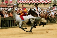 Palio di Siena