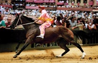 Fantino al Palio di Siena