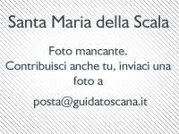 Santa Maria della Scala - Missing Photos
